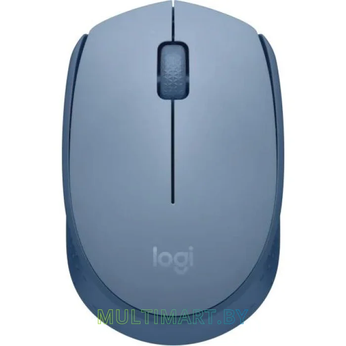 Мышь Logitech M171 Wireless Mouse (голубой)